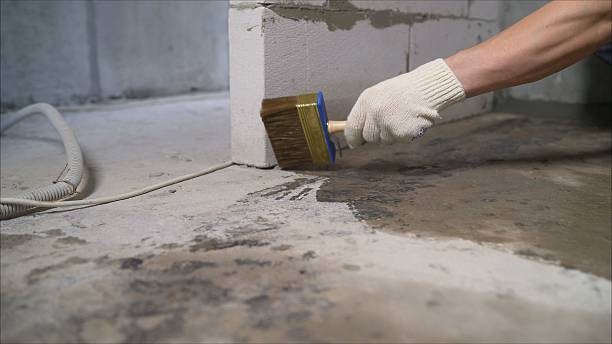 24/7 Emergency Wet Basement Repair experts in Saint Clair Shores, MI
